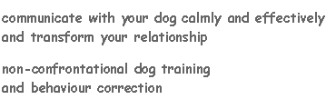 Communicate with your dog calmly and effectively.